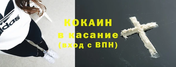 ПСИЛОЦИБИНОВЫЕ ГРИБЫ Арсеньев