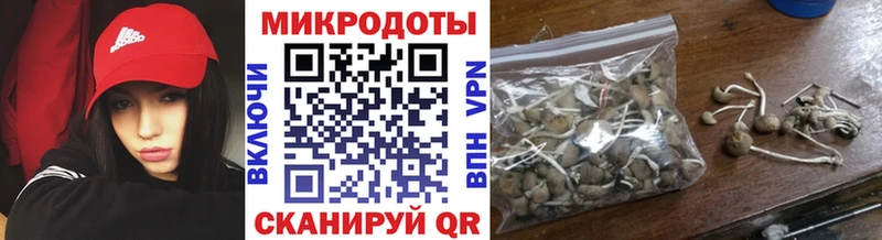 Псилоцибиновые грибы Magic Shrooms  Невьянск 